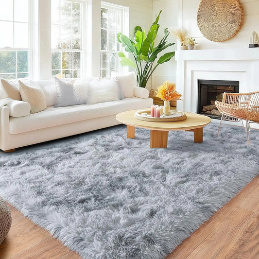 Shaggy Living Room Rug