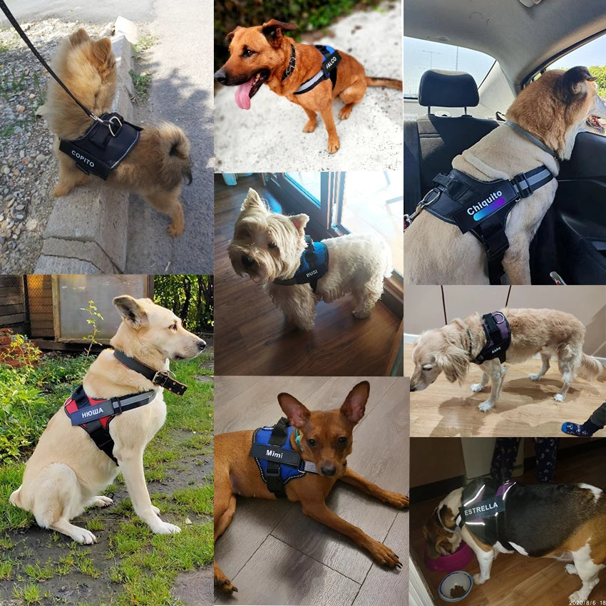 Dog Harness NO PULL, Reflective & Adjustable