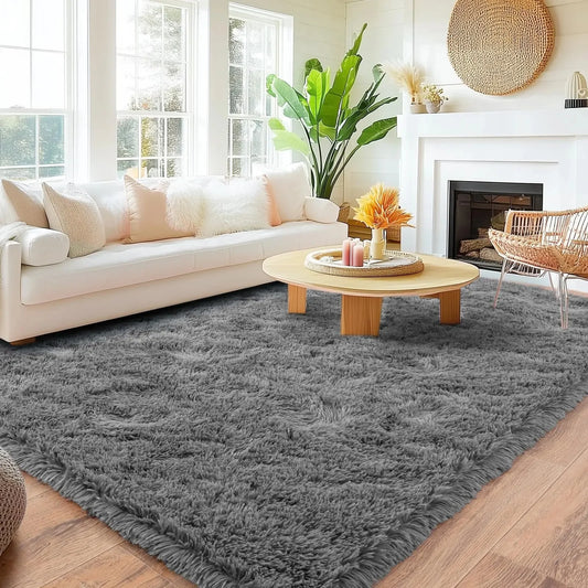Shaggy Living Room Rug