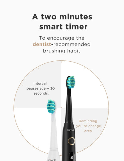 Sonic Electric Toothbrush, USB Chargeable